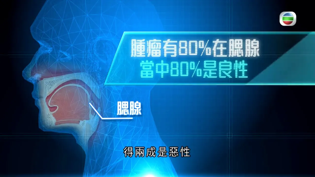 9bf7e625-d39a-4ad1-b344-9679dafdfb14.jpg.webp