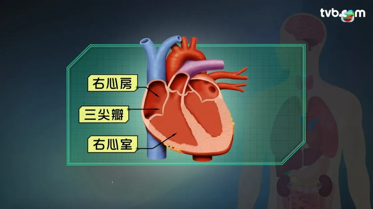 0fda102a-e2e7-4794-83ff-c4c874633542.jpg.webp
