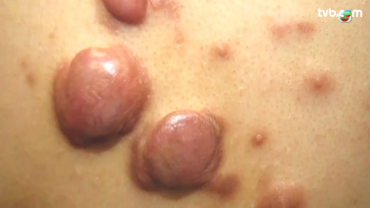 b2ff2a18-6ae2-4afb-a20f-9d1bb3d0cd7f.jpg.webp