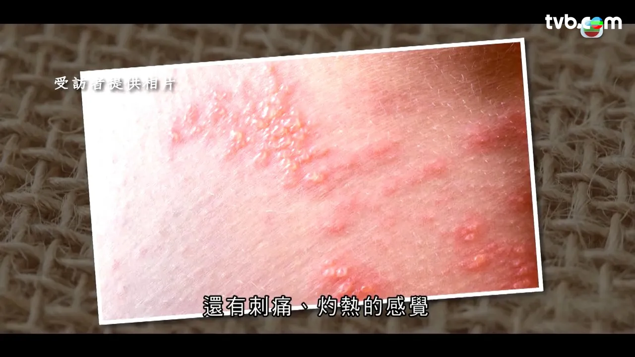 ae8afa08-78b4-4dea-8abf-2253f987df45.jpg.webp