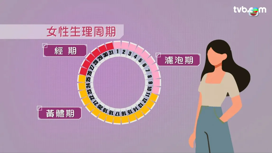 8adb3e6b-b481-4577-838a-71a284ed44a1.jpg.webp