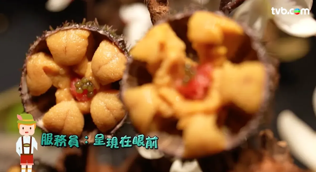 cb209c46-ecbb-464c-b8a8-ab29b2b6b55a.png.webp