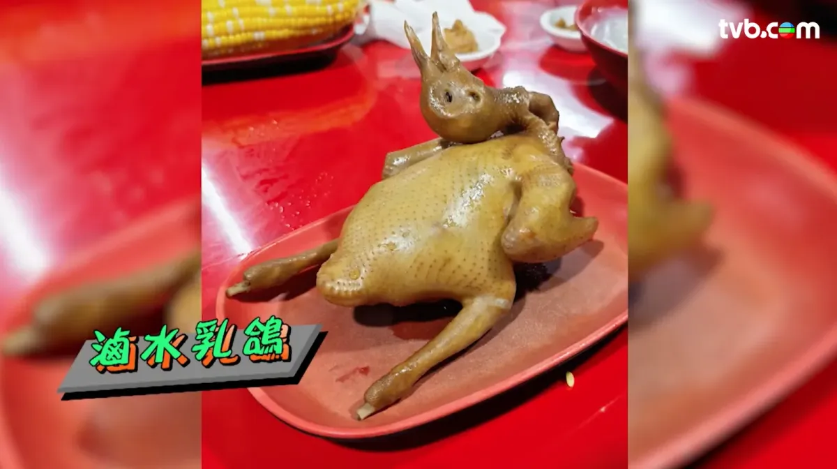 7e74d6b5-c830-4a9b-8856-ac67cc0007ac.png.webp