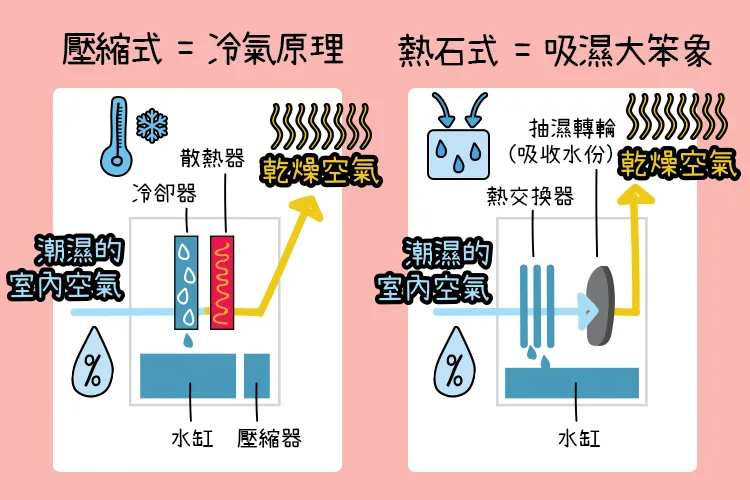 51d7992d-0da4-4054-b381-e82ca9319b6f.png.webp