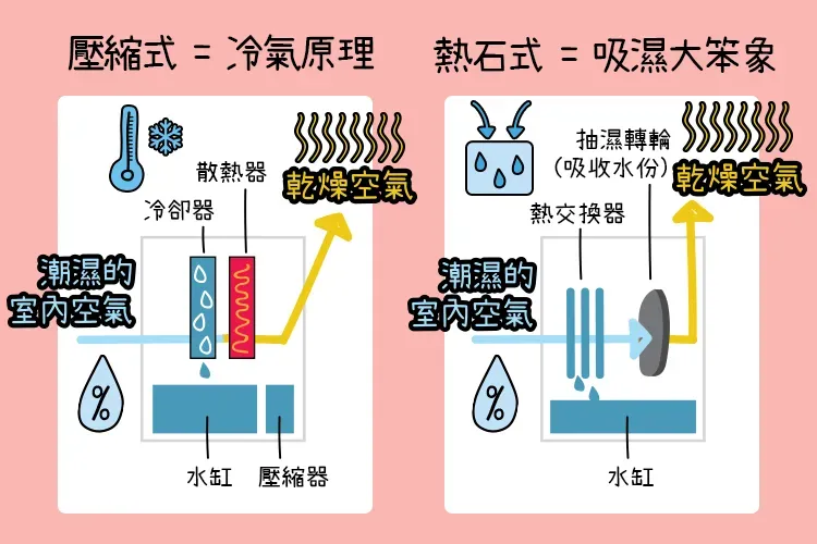 51d7992d-0da4-4054-b381-e82ca9319b6f.png.webp