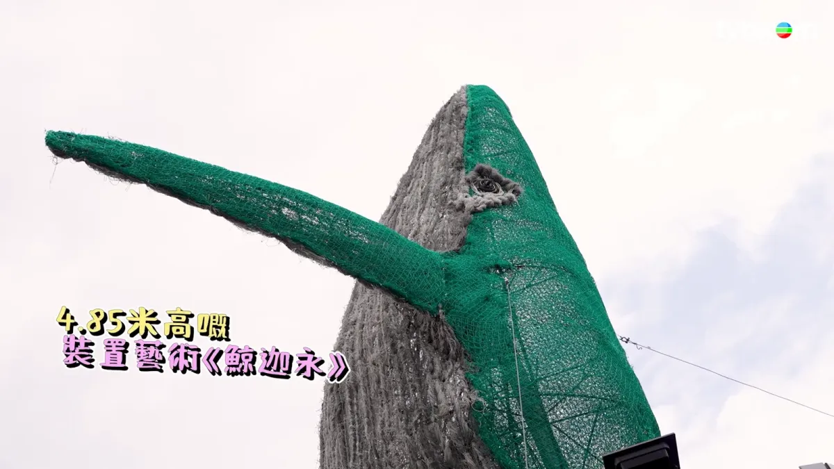 17a71801-ab41-4c59-af8c-a335ab589956.png.webp