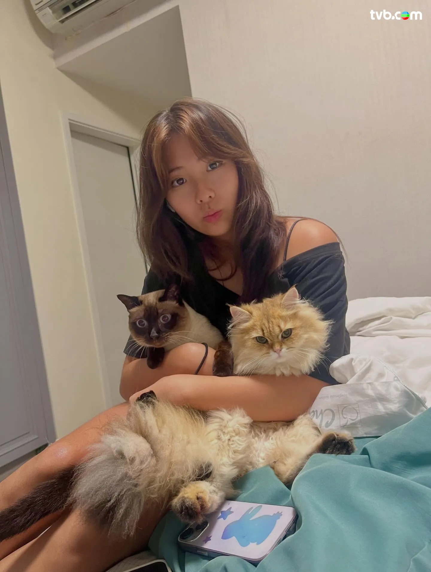 c849d555-3b85-4630-b8f9-1c56d18f7434.jpeg.webp