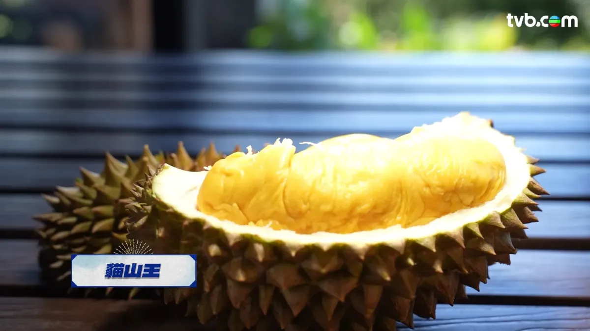 e5116154-d730-4877-a404-2cbef9f54e3b.jpg.webp