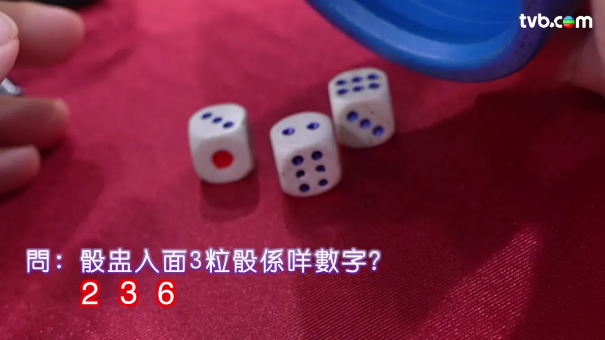 9cfb0e77-a28a-4c49-941c-8805379ae2d2.jpg.webp