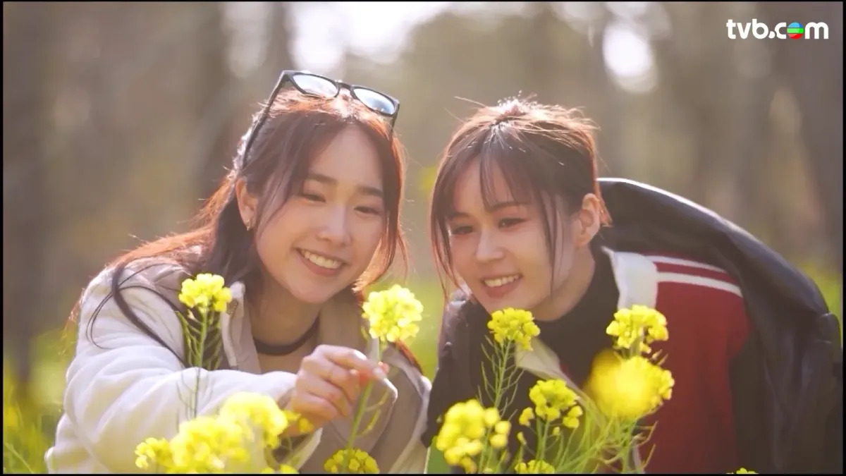 f33a4113-d2d9-4df5-a70d-aa6b4f29be11.png.webp