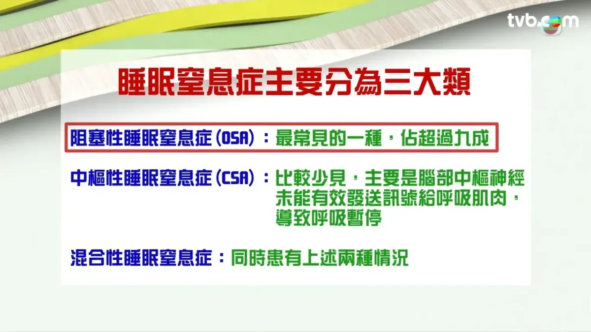 ac7b3729-54ab-485d-8d95-b561121c5c61.jpg.webp
