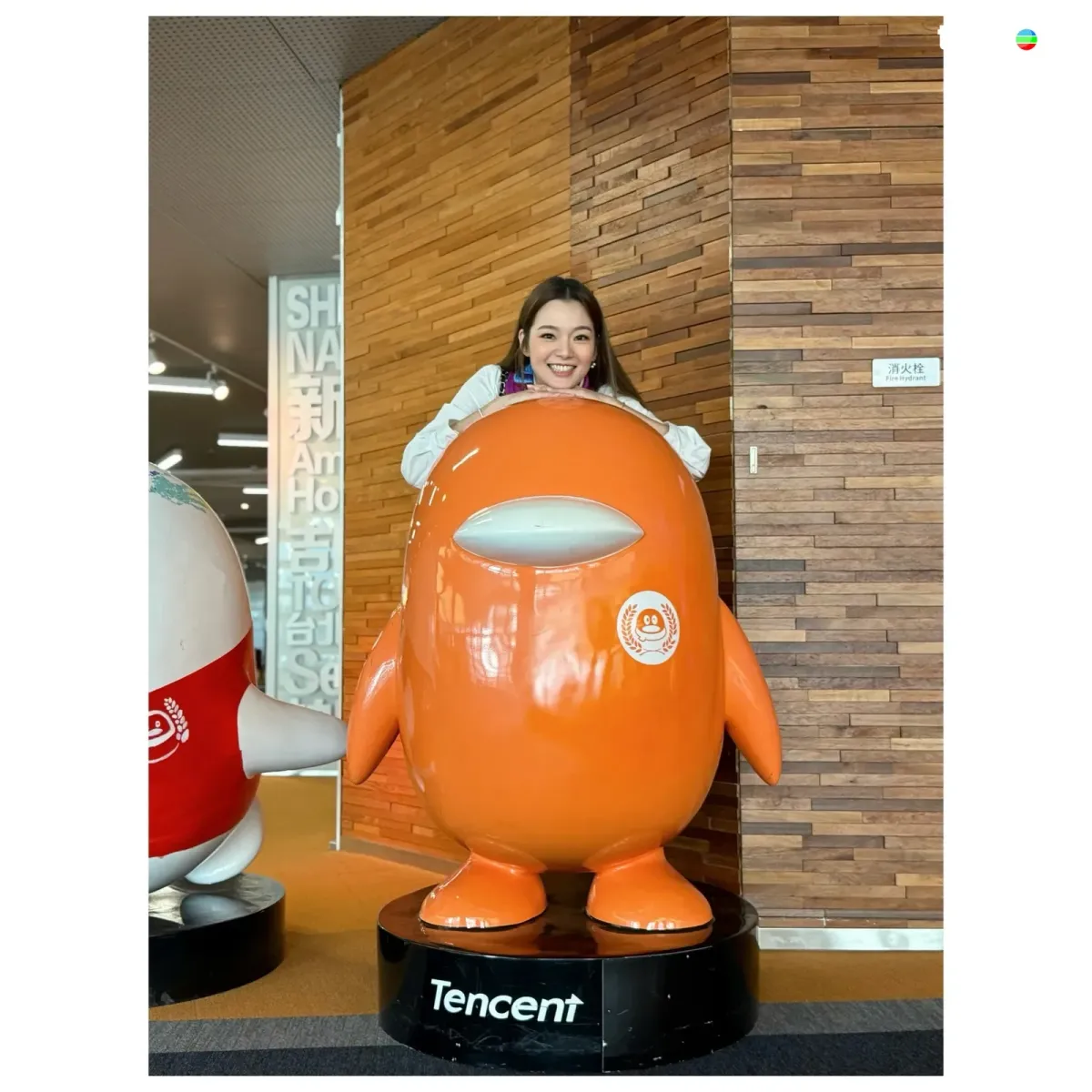 e73156c5-5213-4ace-ab30-612a06cc05a0.jpeg.webp