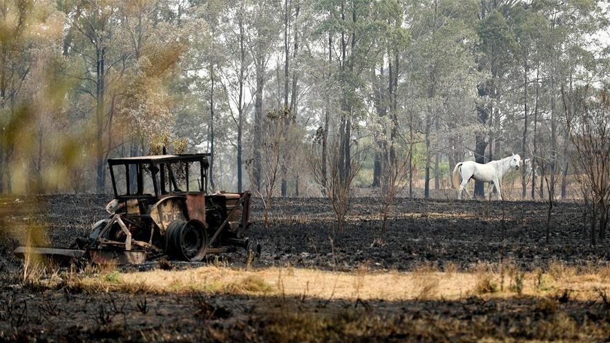假髮背後 20260316 AUS.FIRE.02 XINHUA.jpg