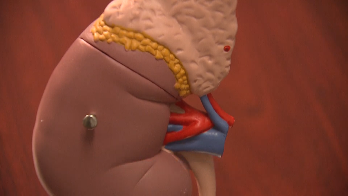 HEALTH B.png
