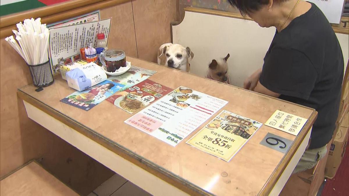 Picture_DOG.TVU5.DANNY.1045_001.jpg
