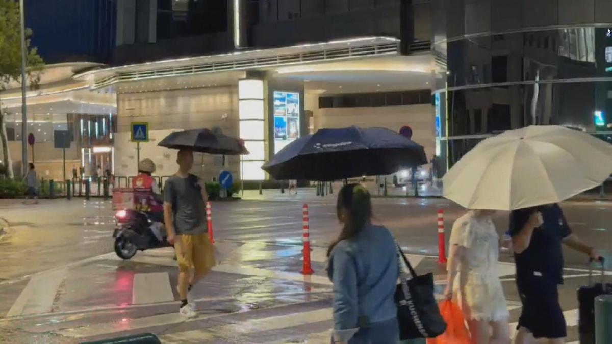 Picture_J.M.TYPHOON.NIGHT-2100_001.jpg