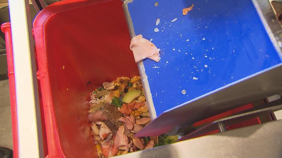 Picture_NM.WASTE 1_001.jpg