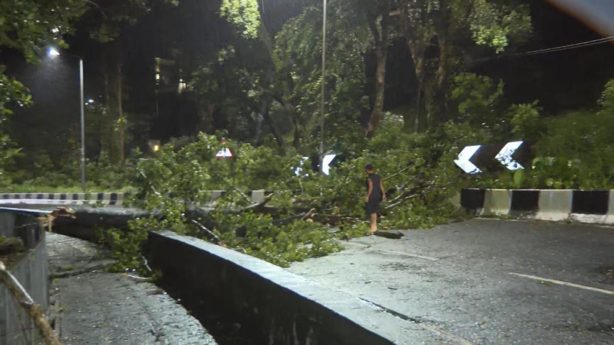 Picture_J.TYPHOON.MIDNIGHT-0530_004.jpg