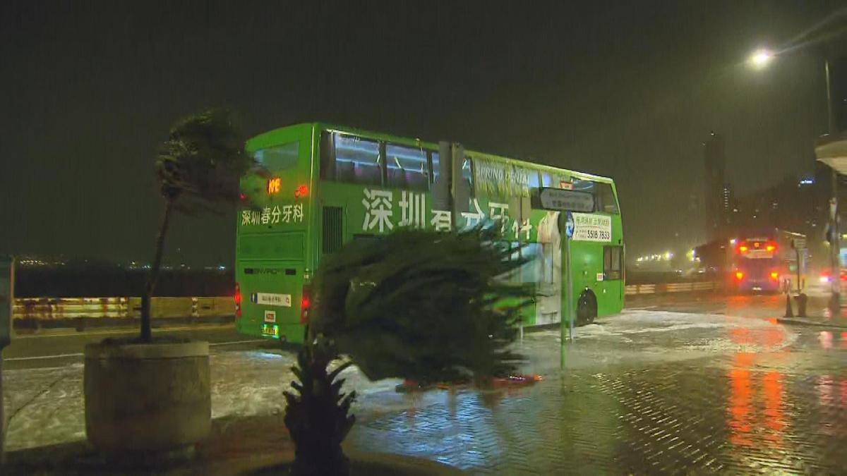 Picture_J.TYPHOON.MIDNIGHT-0530_003.jpg