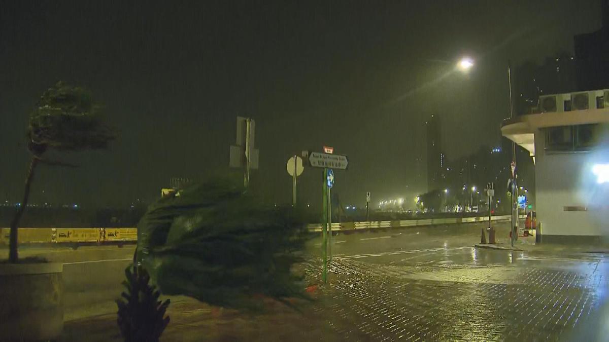 Picture_J.TYPHOON.MIDNIGHT-0530_001.jpg