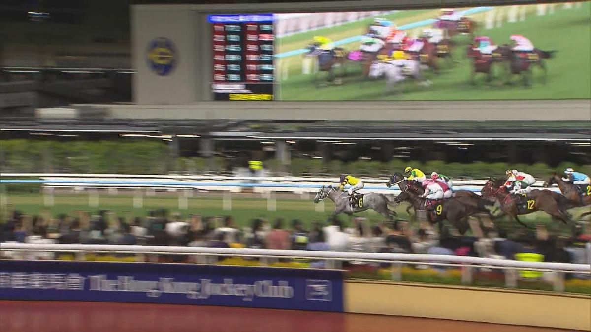 Picture_J.JOCKEY-2300_001.jpg