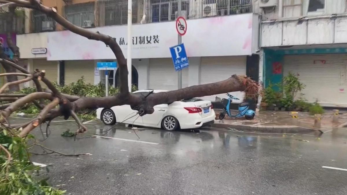 Picture_J.CN.TYPHOON-1830.jpg