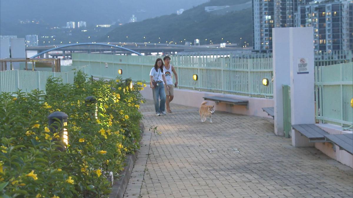 Picture_J.DOG-2300_006.jpg