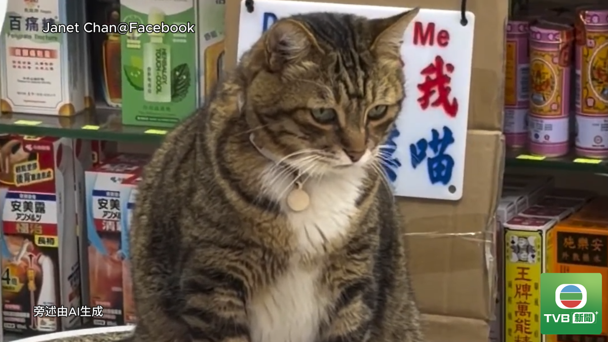 下載.png