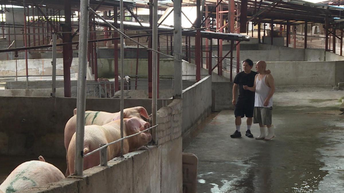 Picture_J.PA.PIG-HOLD_001.jpg