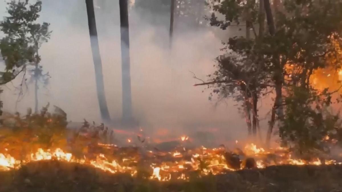 Picture_GV.EU.WILDFIRE-CLEAN.jpg