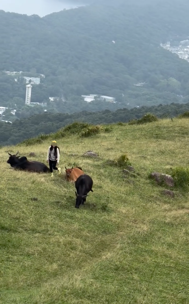 螢幕截圖 2026-08-31 下午3.49.14.png