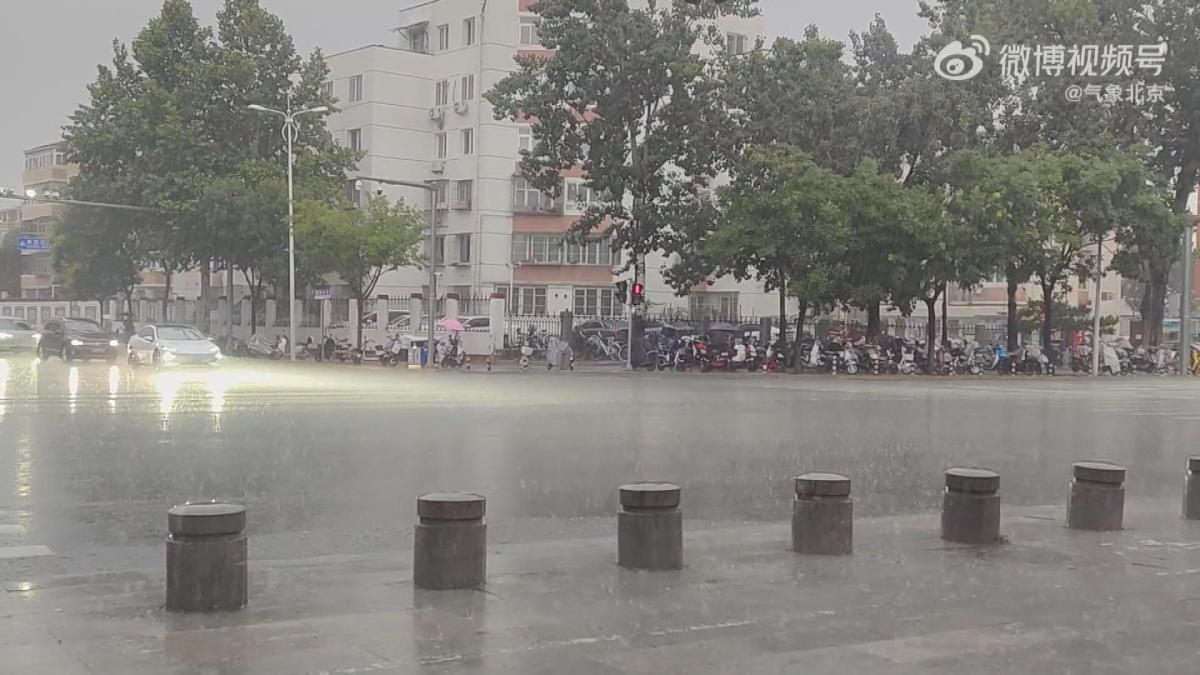 Picture_J.CN.RAIN-1830_001.jpg