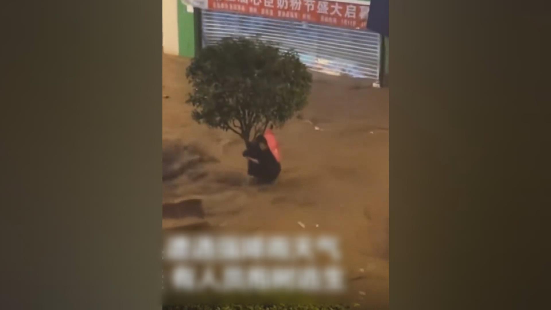 Picture_J.CN.RAIN-1830_002.jpg
