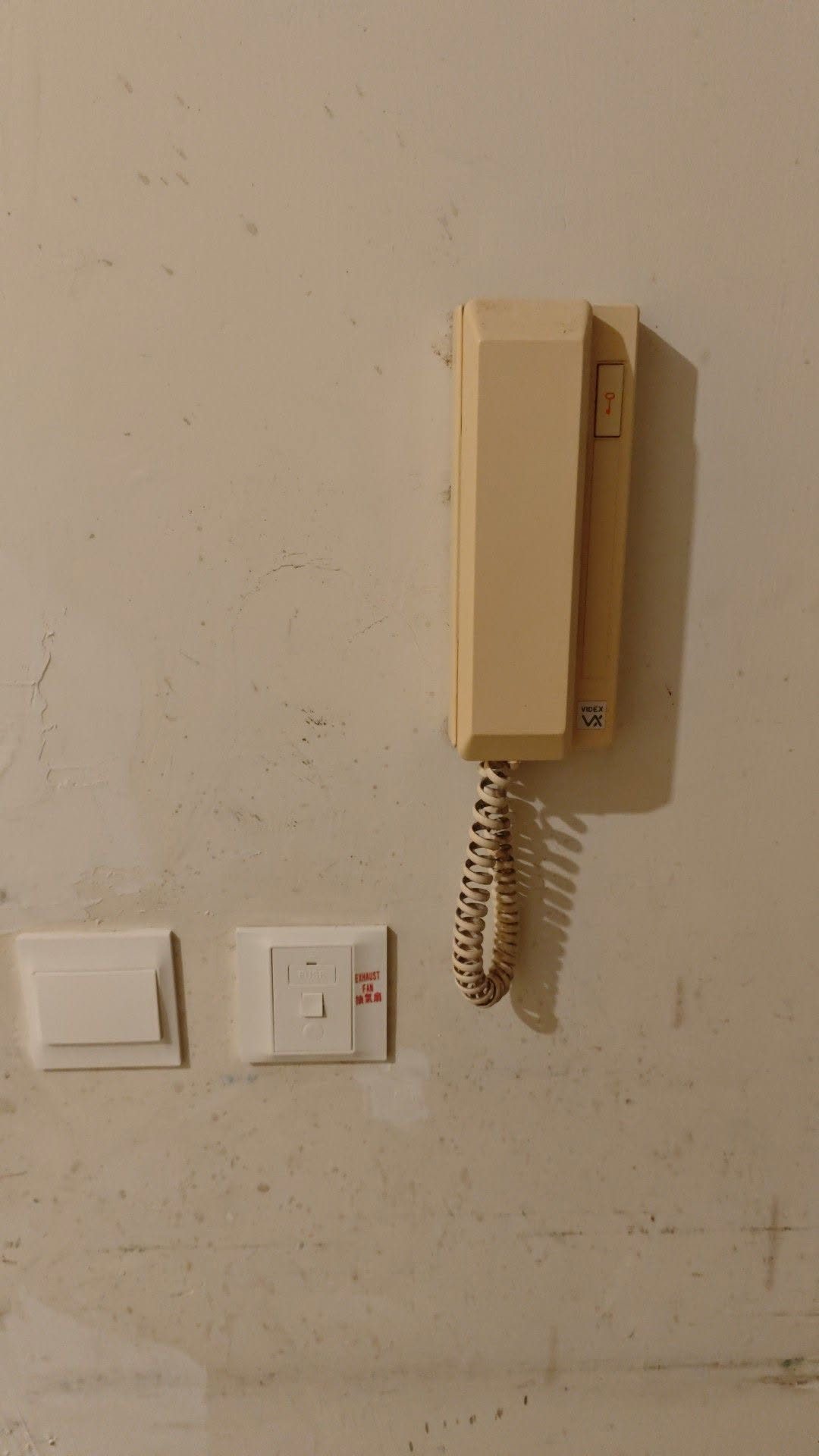 774803687_10239827283851539_4546797556441084683_n (1).jpg