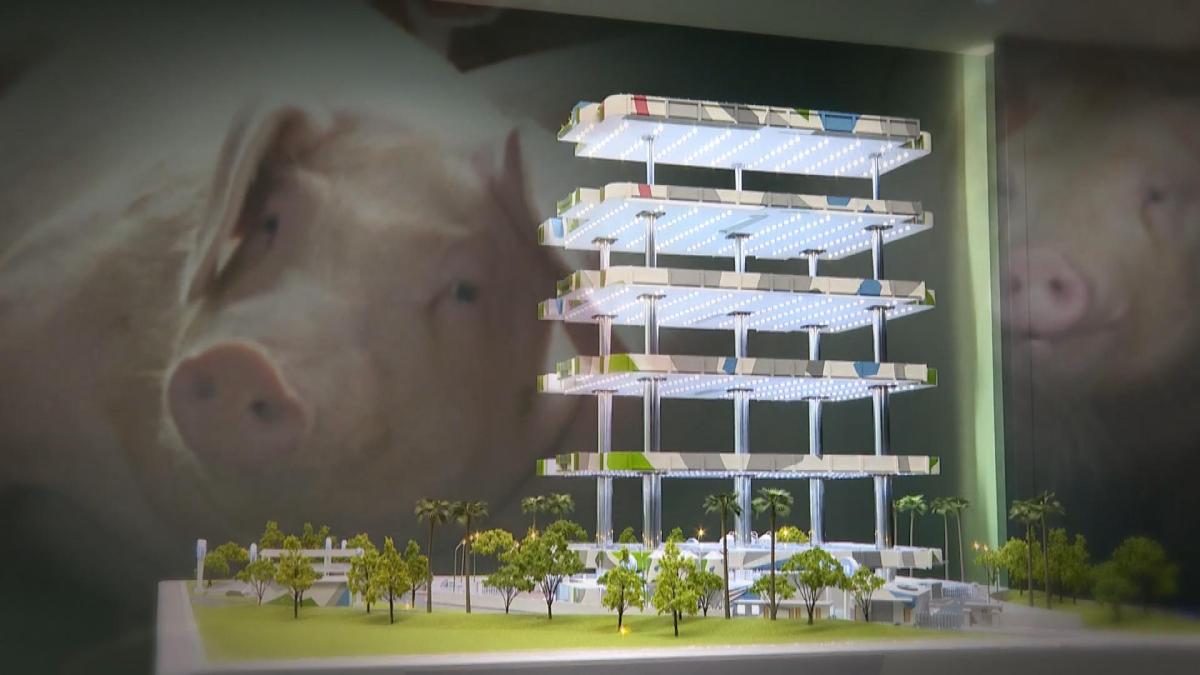 Picture_XR.PIG.EP395.港豬上樓.jpg