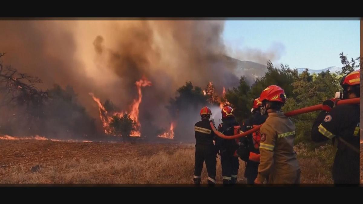 Picture_GV.EU.WILDFIRE-CLEAN_001.jpg