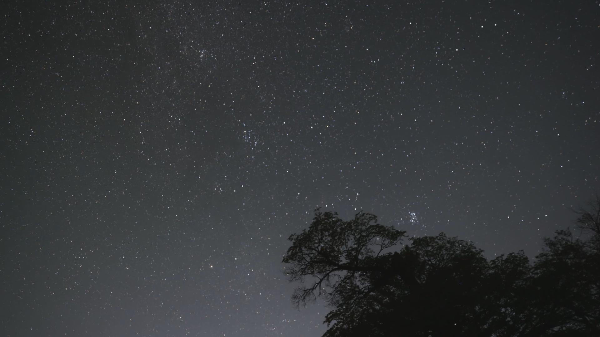 Picture_J.NX.METEOR.MTV.0813-0824_003.jpg
