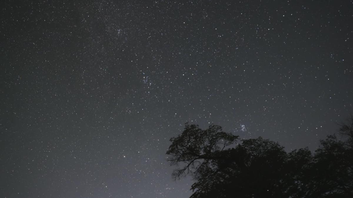 Picture_J.NX.METEOR.MTV.0813-0824_003.jpg