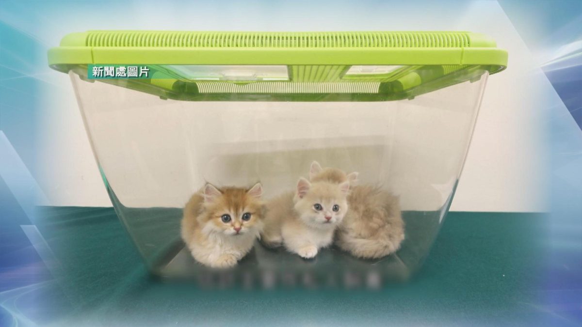 Picture_J.ANIMAL 1830._001.jpg