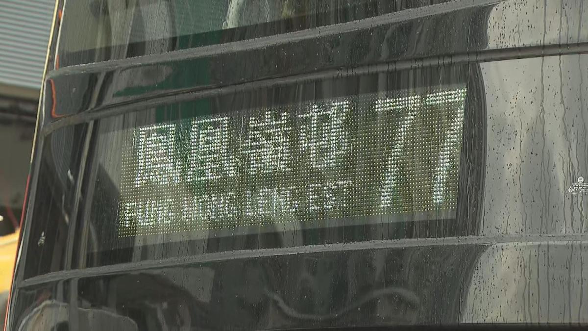 Picture_J.BUS-1130.jpg