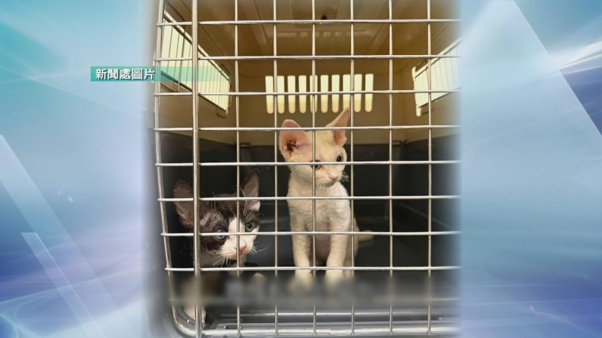 Picture_J.ANIMAL 1830._002.jpg