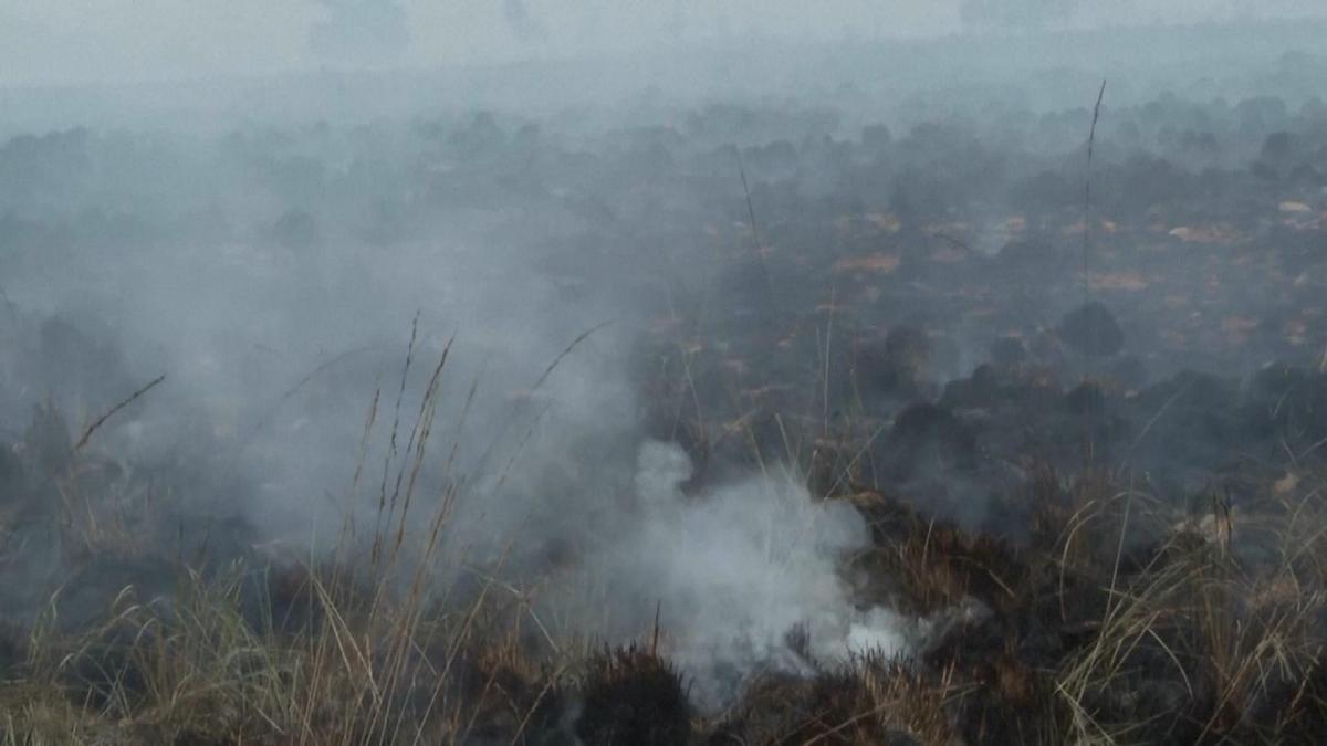 Picture_J.BEL.WILDFIRE-0430_001.jpg