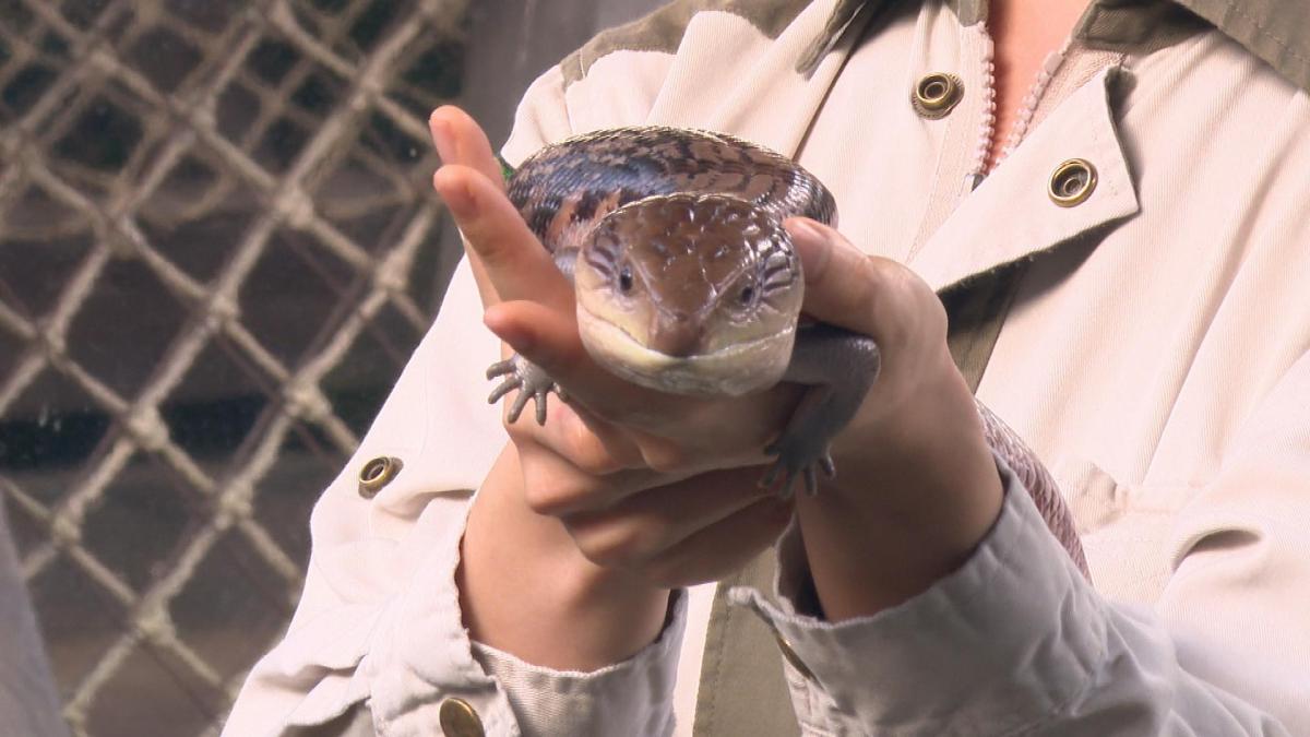 Picture_J.REPTILE-1830_005.jpg