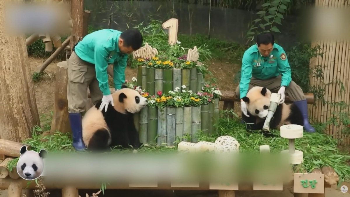 Picture_J.SK.PANDA-1630_003.jpg
