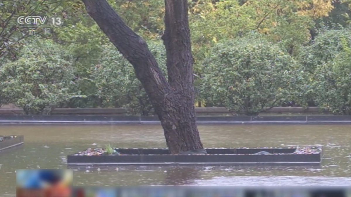 Picture_J.CN.RAIN-1630_003.jpg