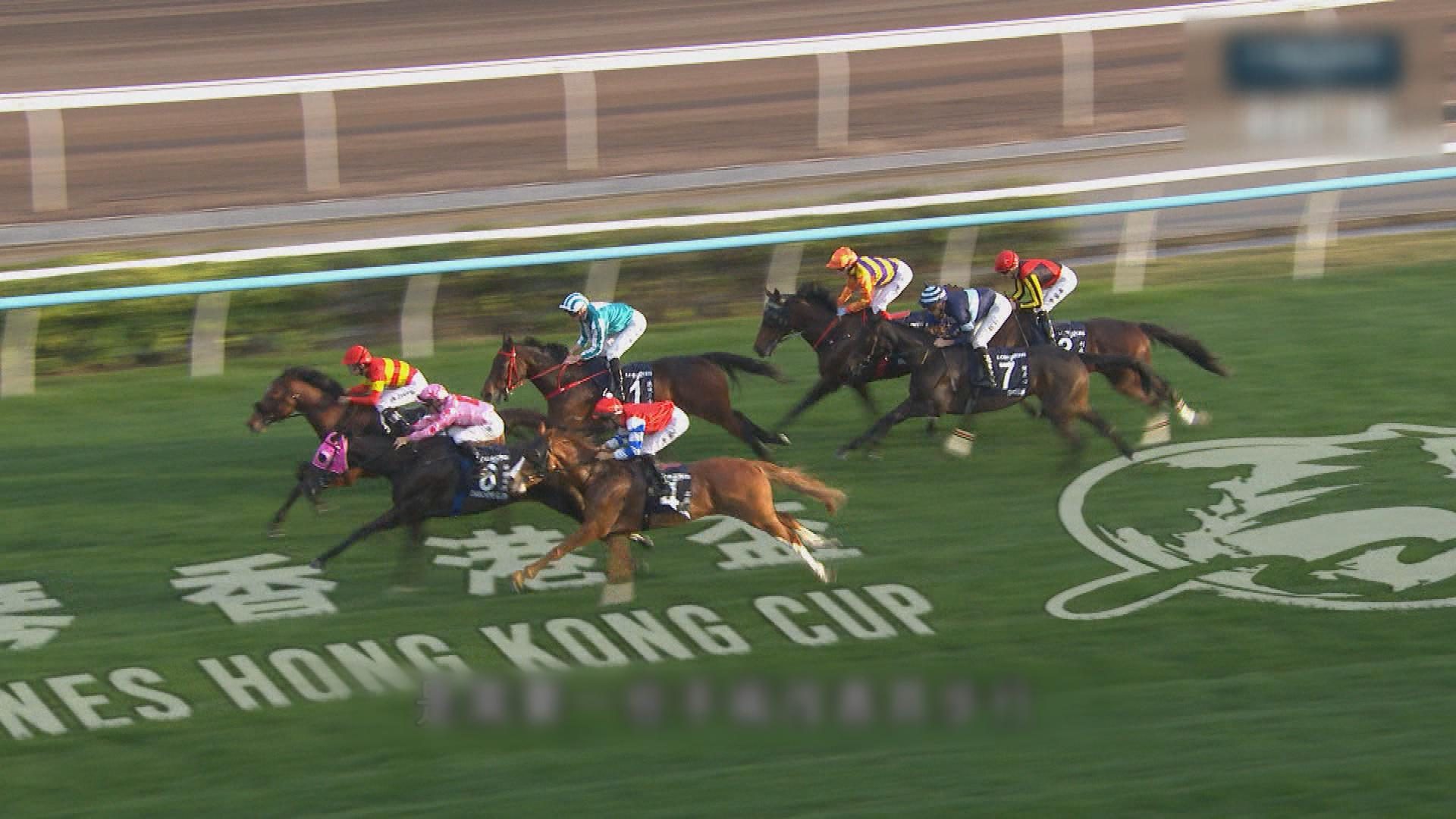 Picture_J.HORSE 2100 shot.jpg