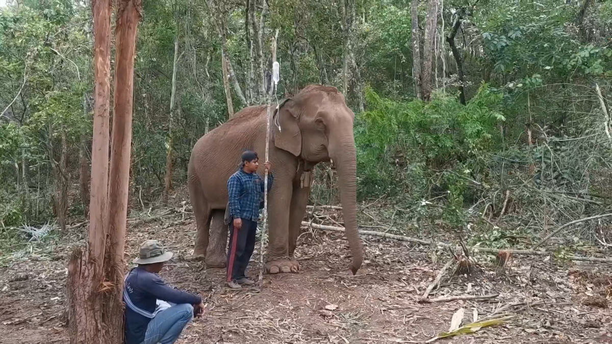 0928 THAI