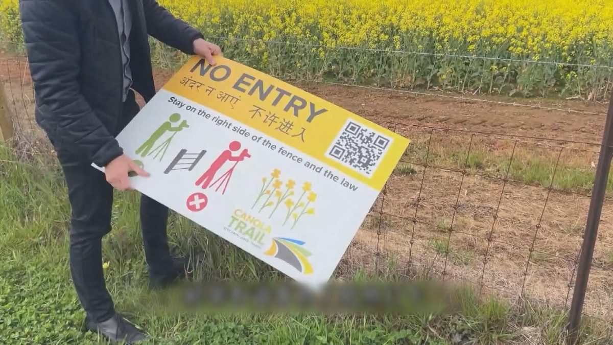 Picture_J.AUS.CANOLA 1700_001.jpg