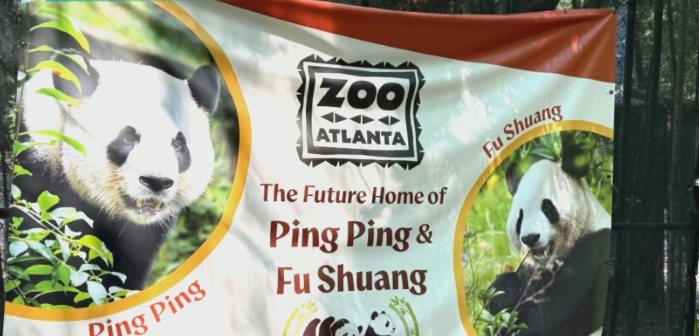 panda.png