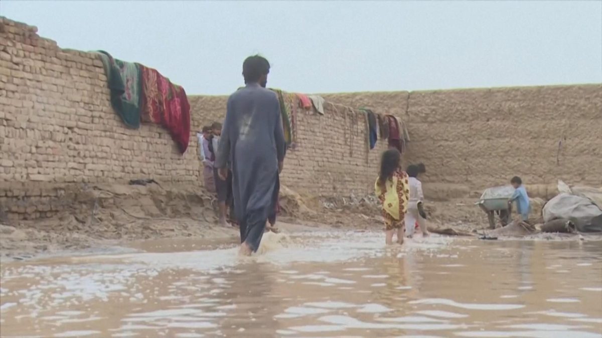 Picture_GV.ELNINO-CLEAN_001.jpg